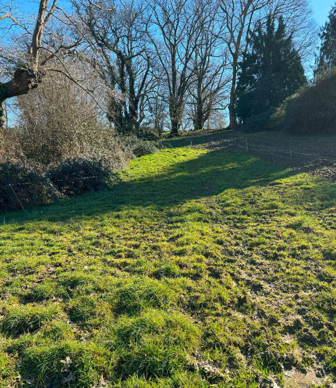 Terrain à SAINT-JAMMES
