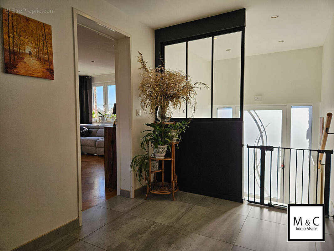 Appartement à WISSEMBOURG