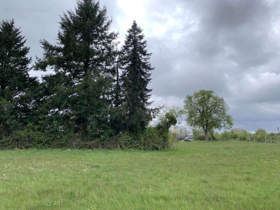 Terrain 3917 m² à La Roche-En-Brenil  - photo 19