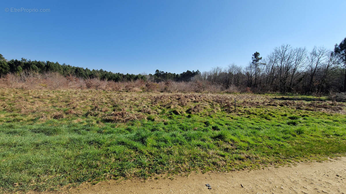 Terrain à SORE