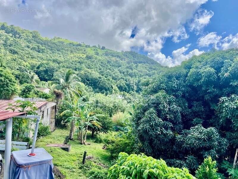 Maison à LE MORNE-VERT