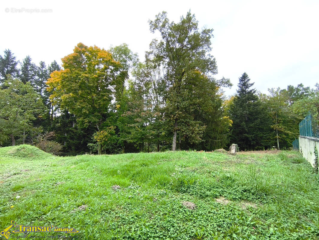 Terrain à THIERS