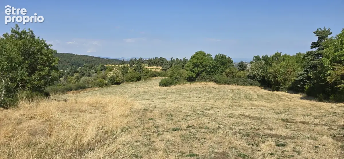 Maison en pierre de 188 m2 habitables sur un peu plus de 3 hectares de terrain - photo 3