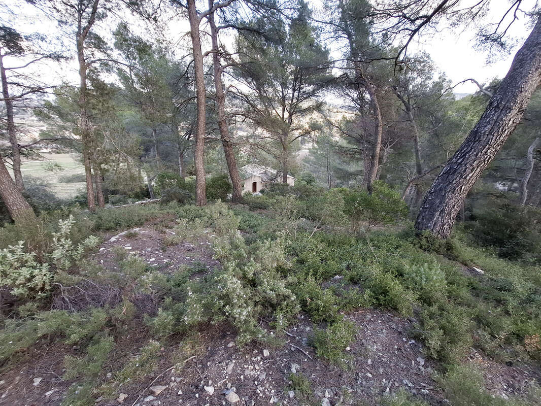 Rare propriété 7000 m2 de terrain tranquillité absolue, villa T4/5 de 157 m2 au calme proche des commodité à 5 - photo 11