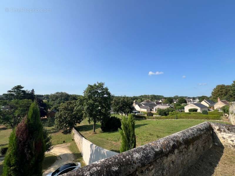 Sublime château édifié au XVI°et remanié au XIX° surblomblant la vallée de la Loire entre Amboise et Tours - photo 25