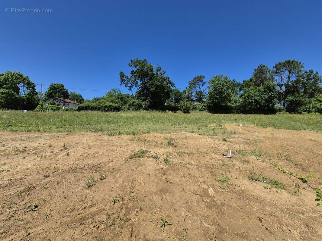 Terrain à POUILLON
