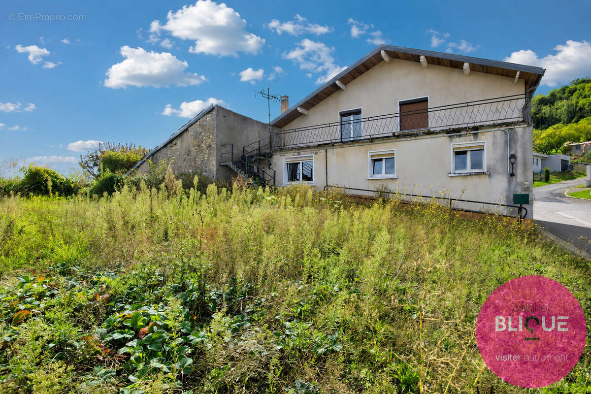 Entre vignes et collines, une maison a reveiller - photo 3