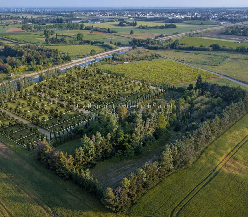 Terrain à MUDAISON