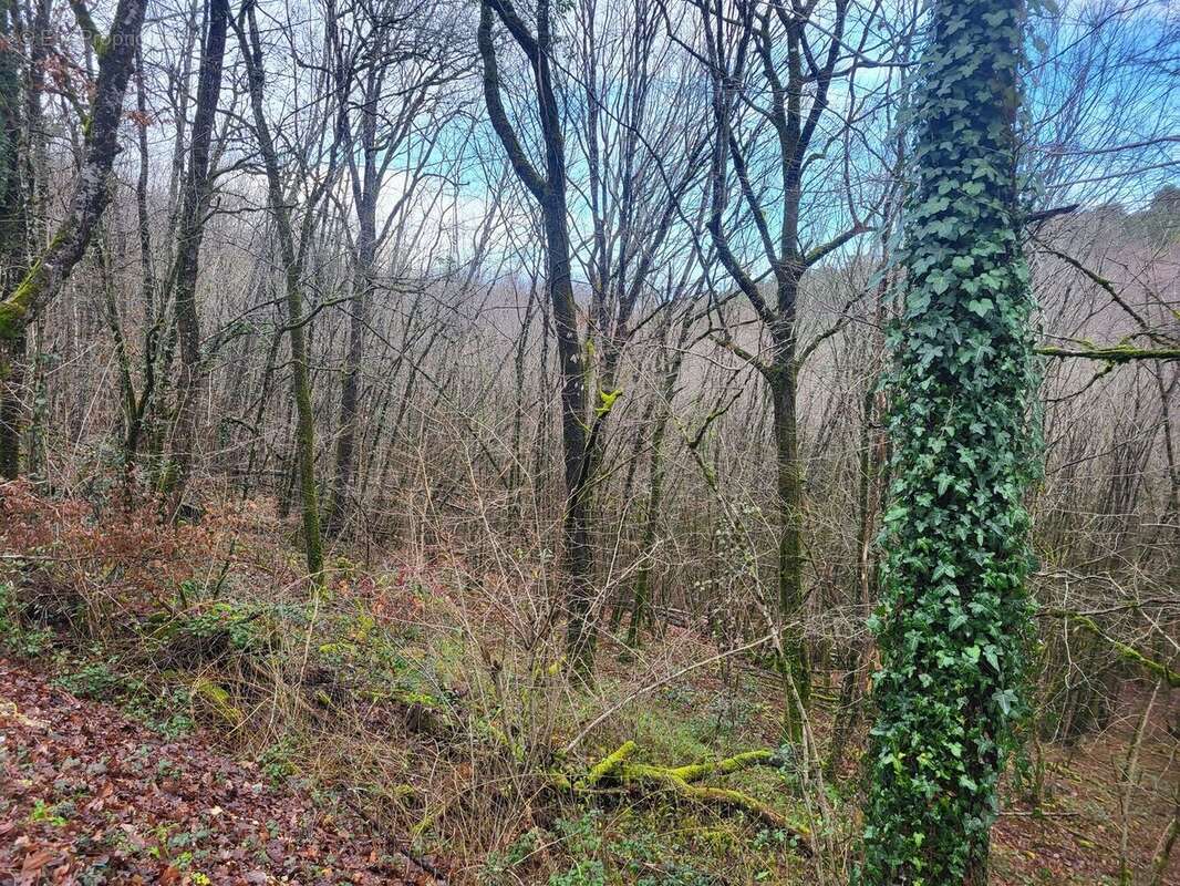 20250108094249 - Terrain à PERIGUEUX