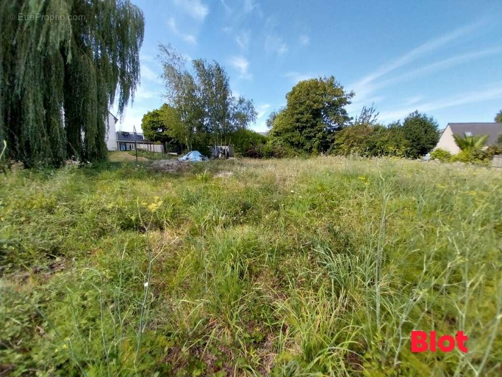 Terrain 769 m² à Cancale  - photo 3