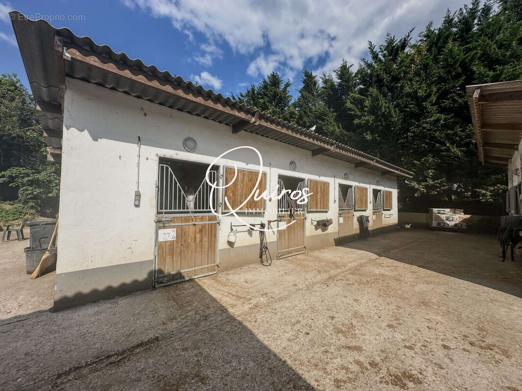 Maison 90 m² à Versailles  - photo 8
