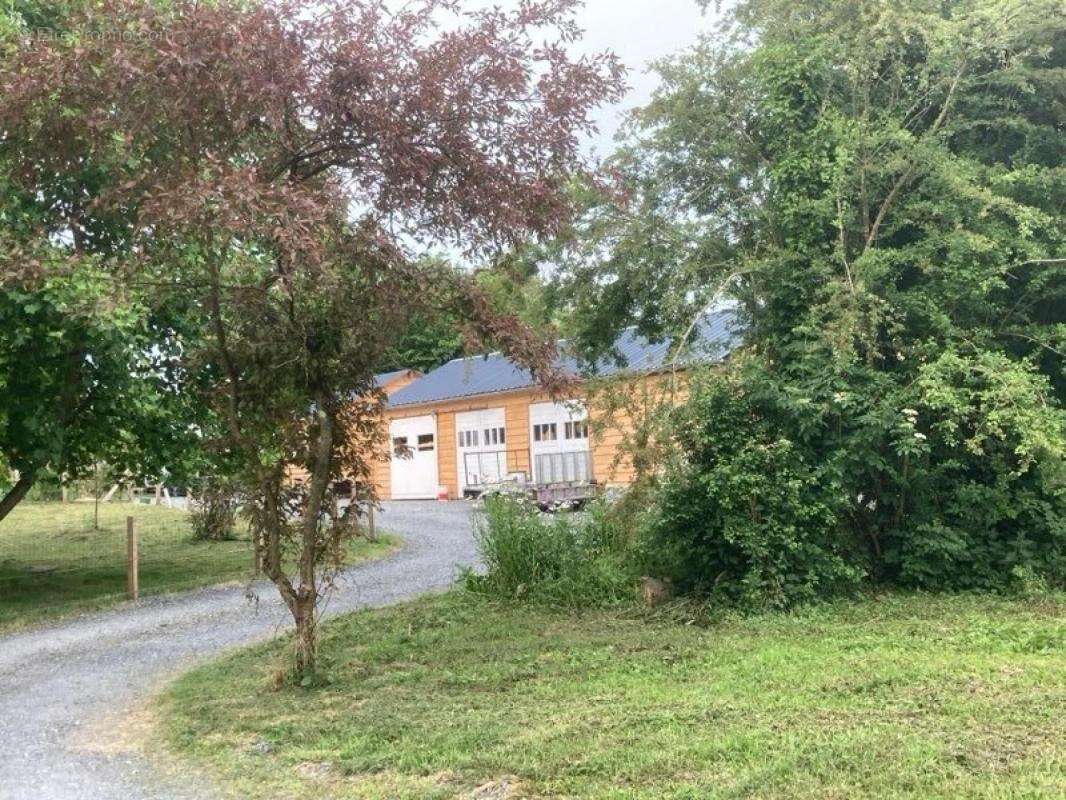 Maison à NEUVILLE-SUR-AUTHOU