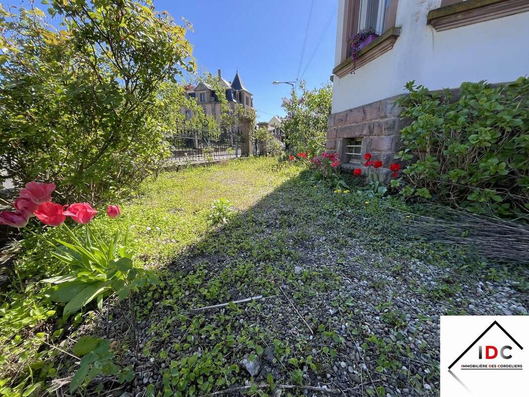 Appartement à SAVERNE