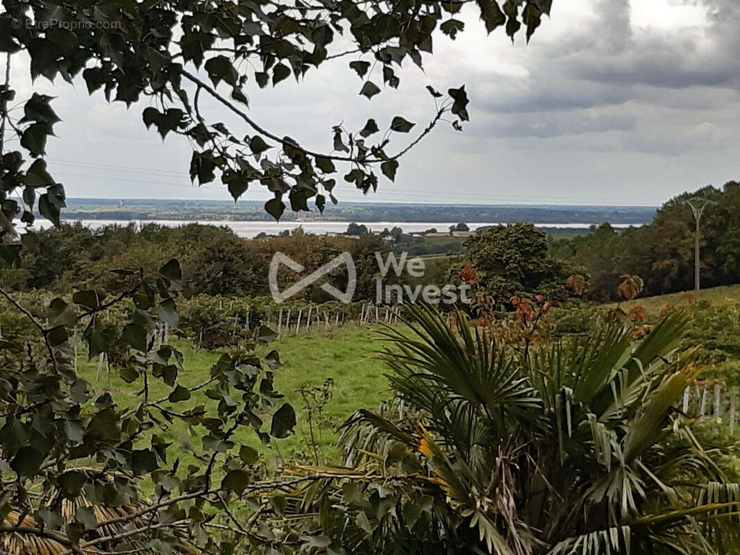 vue exceptionnelle sur l'estuaire de la Gironde  - Maison à PLASSAC