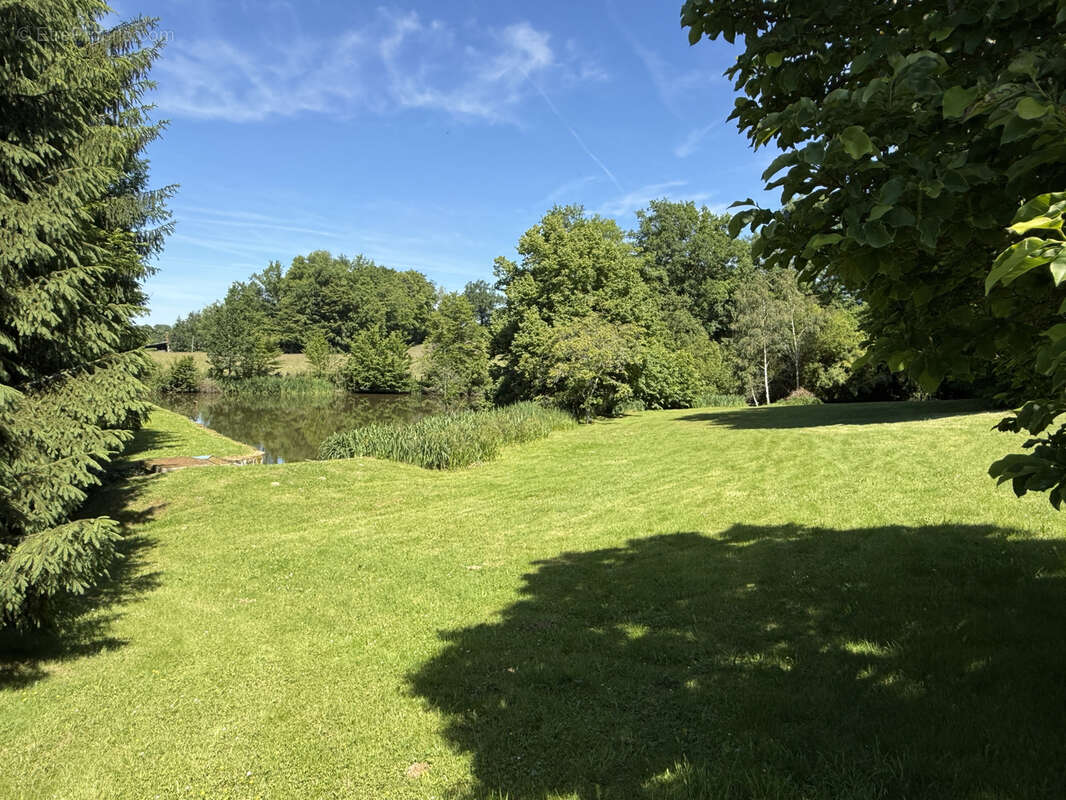Terrain à LUBERSAC