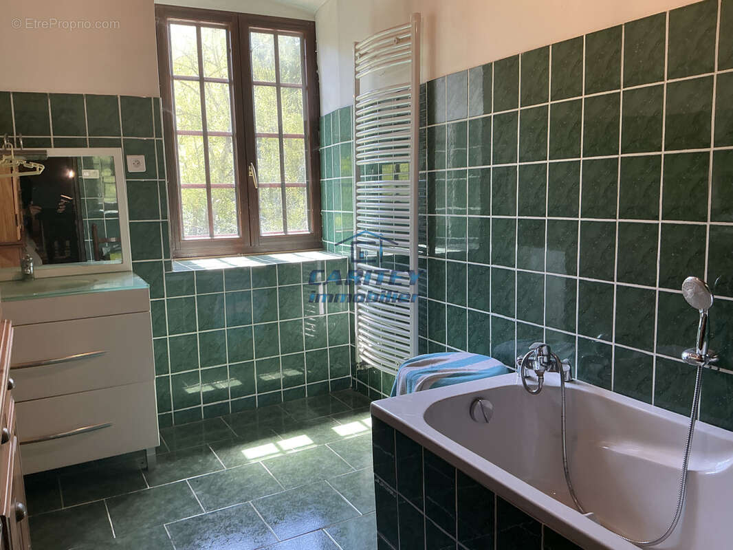 Domaine compose d'une maison d'habitation, 3 appartements, dependance, sur terrain de 38690m2 - photo 29