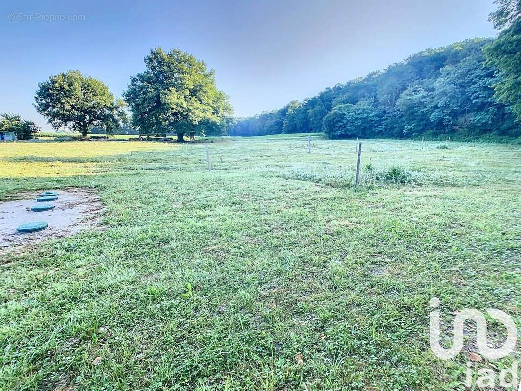 Photo 2 - Maison à LAFITOLE