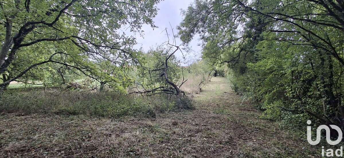 Photo 4 - Terrain à LES AIX-D'ANGILLON