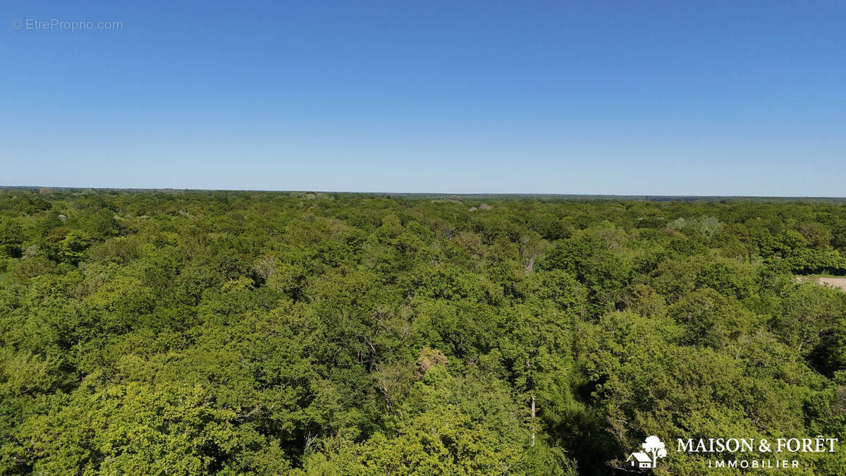Terrain à OUZOUER-SUR-TREZEE