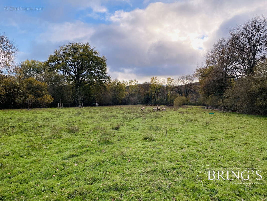 Terrain à VILLAINES-LA-CARELLE