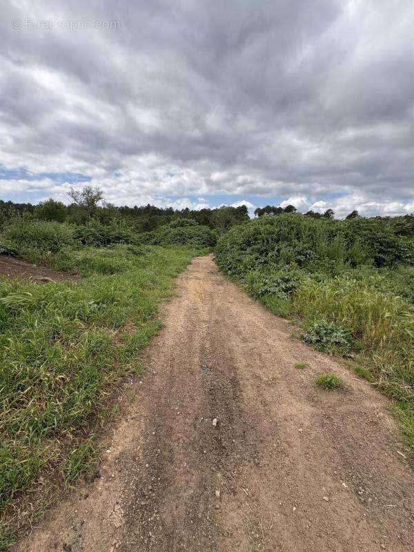Terrain agricole et naturel - photo 9