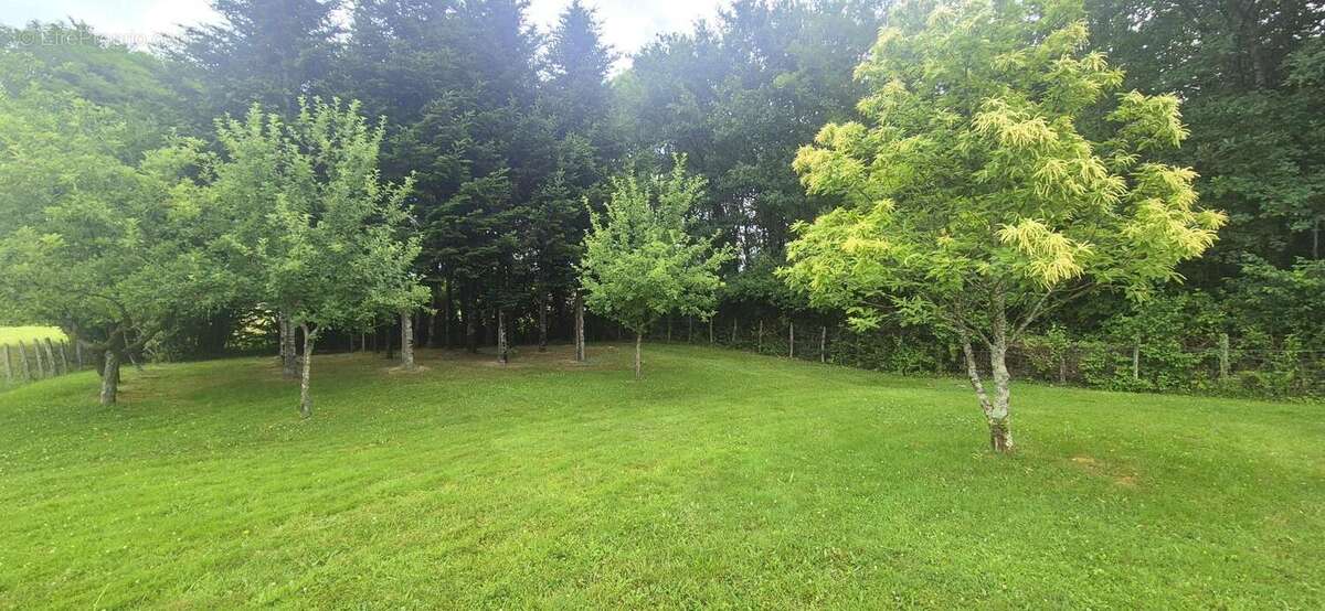 Maison 100 m² à Varennes-Saint-Sauveur  - photo 27