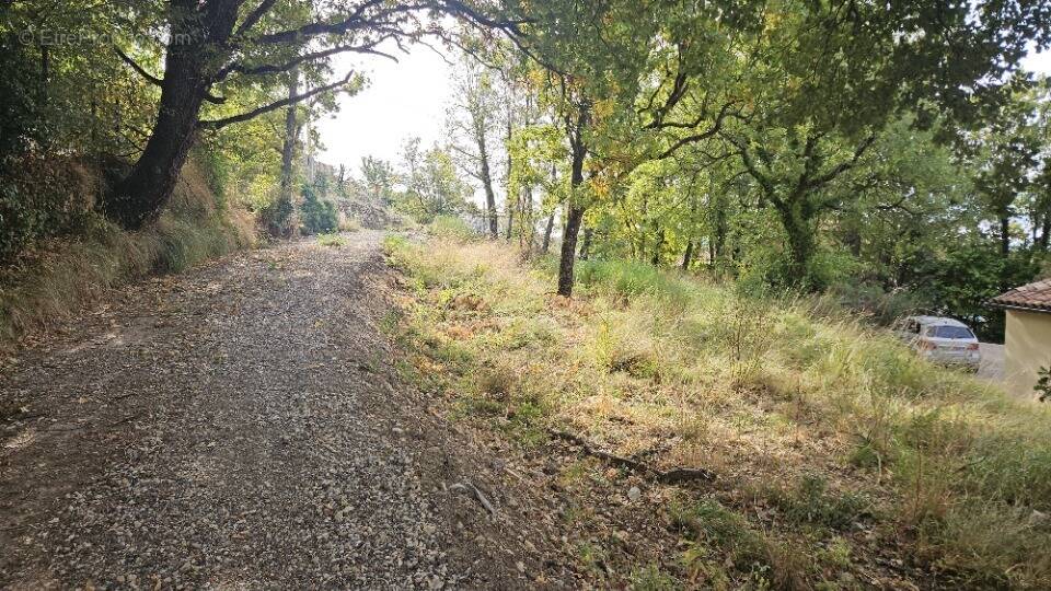 Terrain à SAINT-VALLIER-DE-THIEY