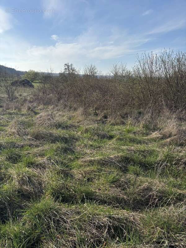 Terrain à WATRONVILLE