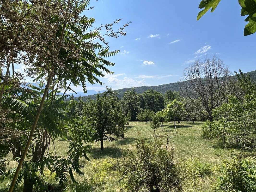 EXCLUSIVITÉ Maison en pierre 335m2 avec 1ha - 04 Alpes-de-Haute-Provence - photo 51