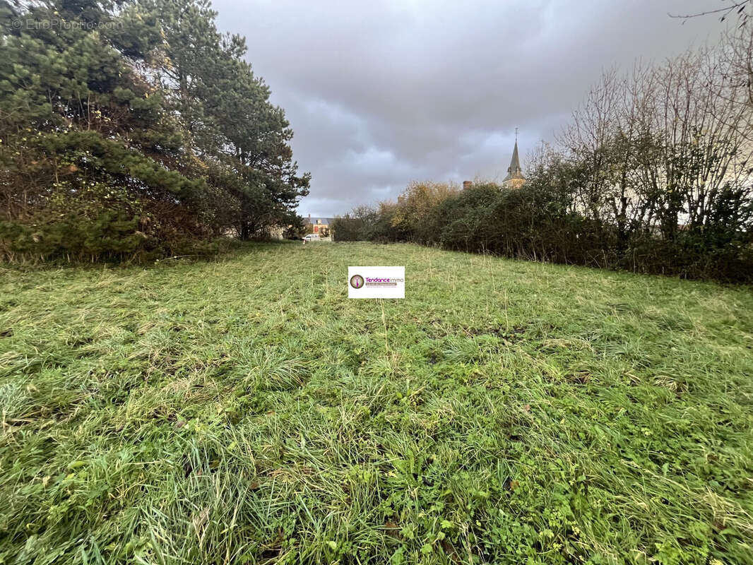 Terrain à COURTOMER