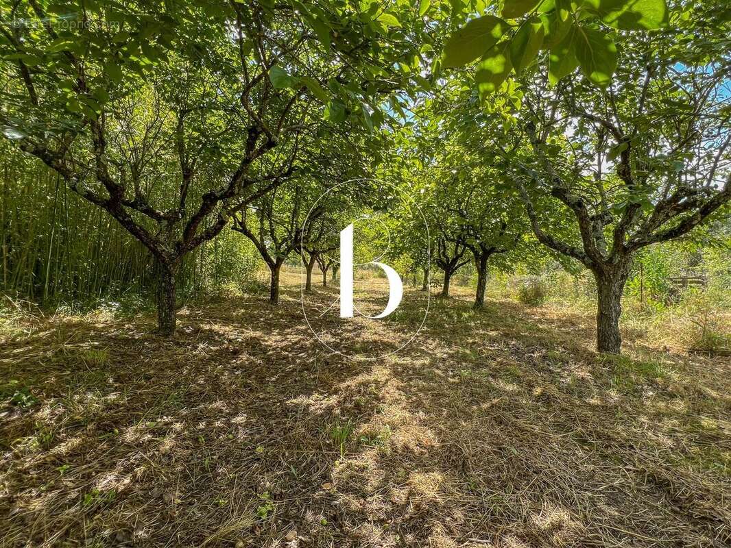 Maison à VALLON-PONT-D'ARC