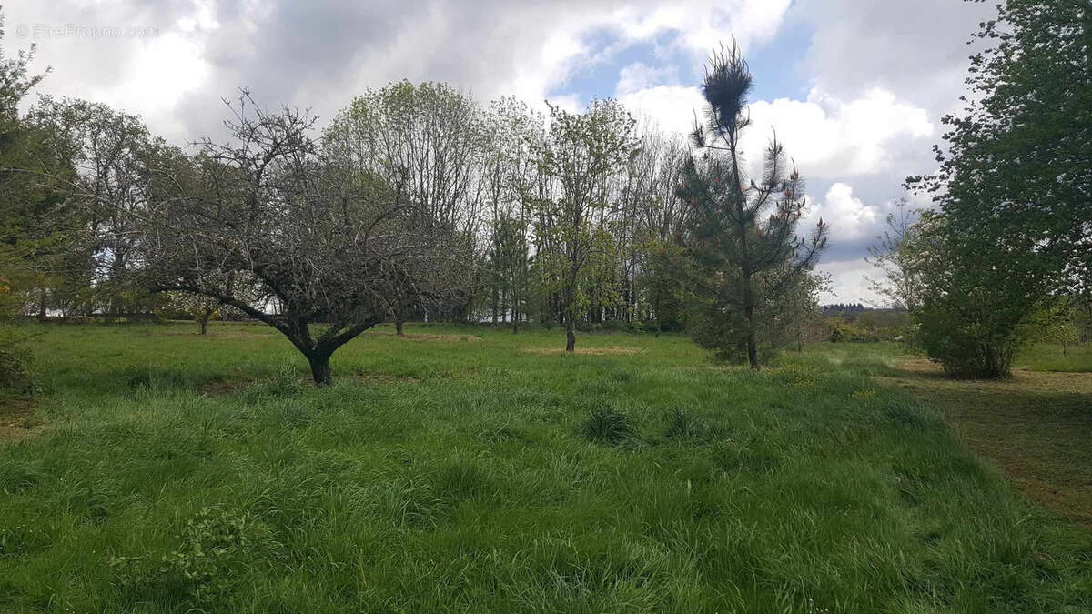 Maison à CHENERAILLES