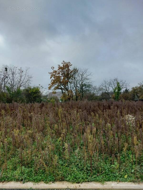 Terrain à WIDENSOLEN