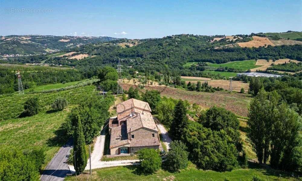 Ferme avec appartements, laboratoire de transformation et boutique à la ferme — Le Marche - photo 12