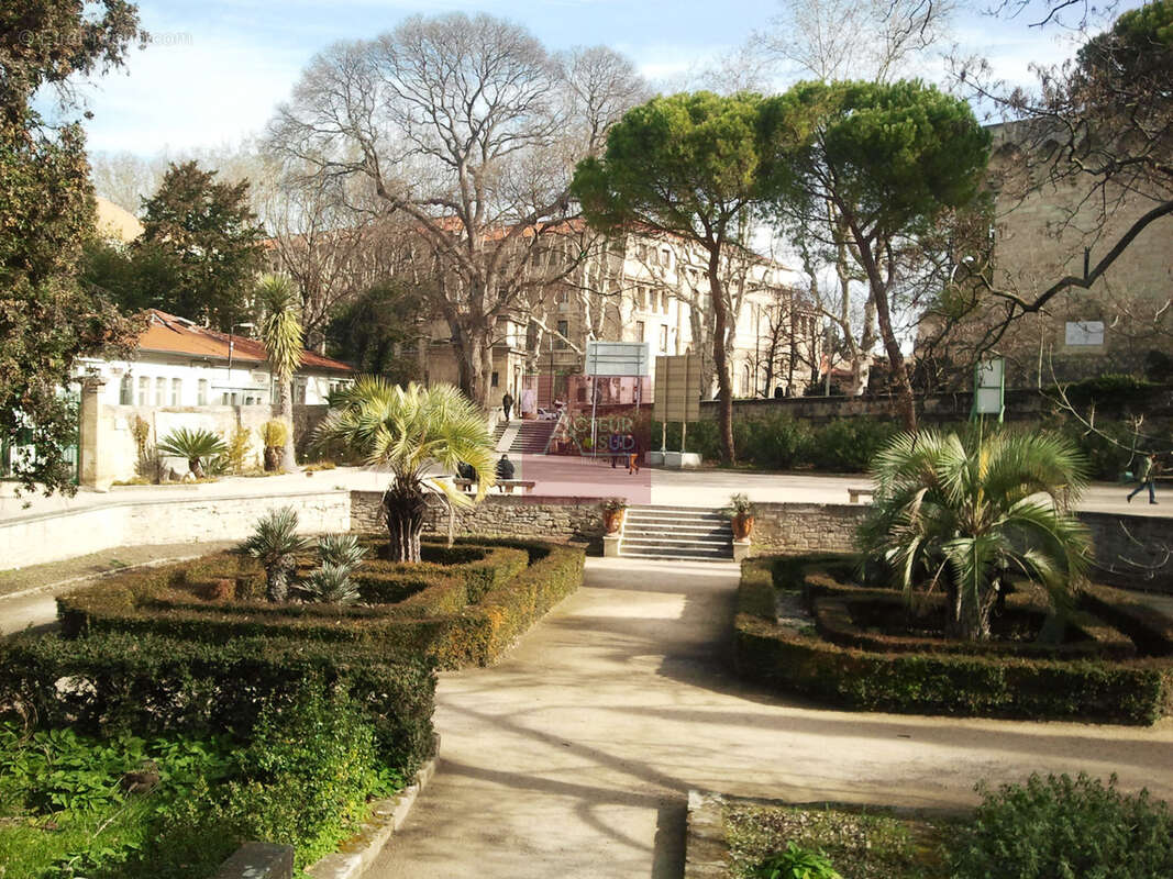 Vente appartement 3 pieces montpellier arceaux jardin des plantes - photo 4