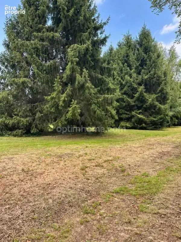  propriété de caractère à don – 267 m² – terrain d’environ 2 500 m² - photo 17