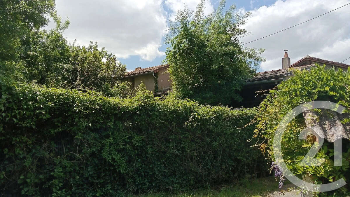 Maison à GAILLAC