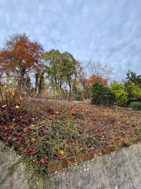 Maison à CIRES-LES-MELLO