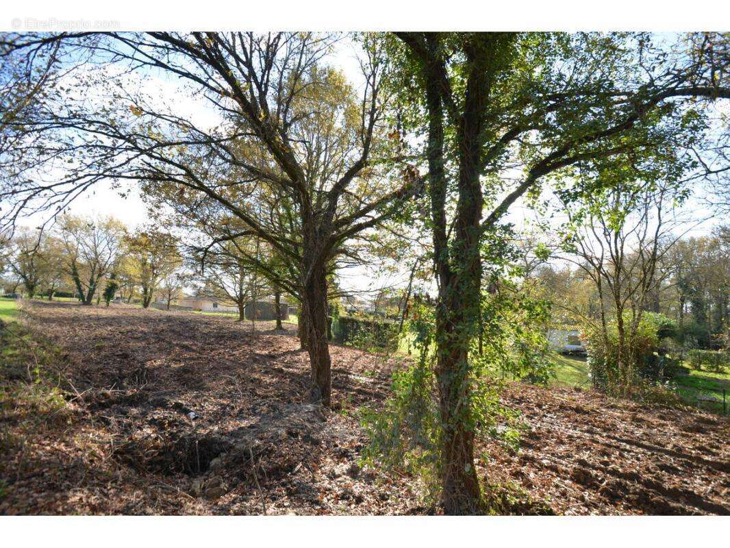 Terrain à PORCHERES