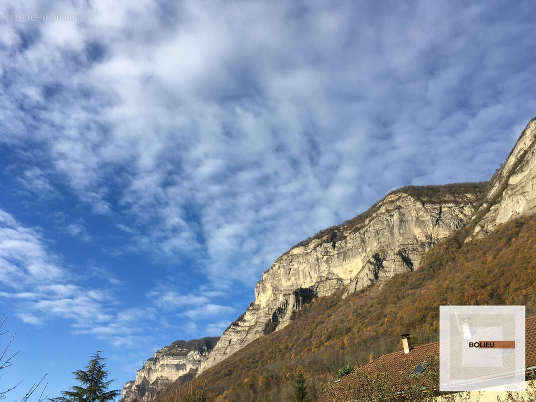 Terrain à LUMBIN
