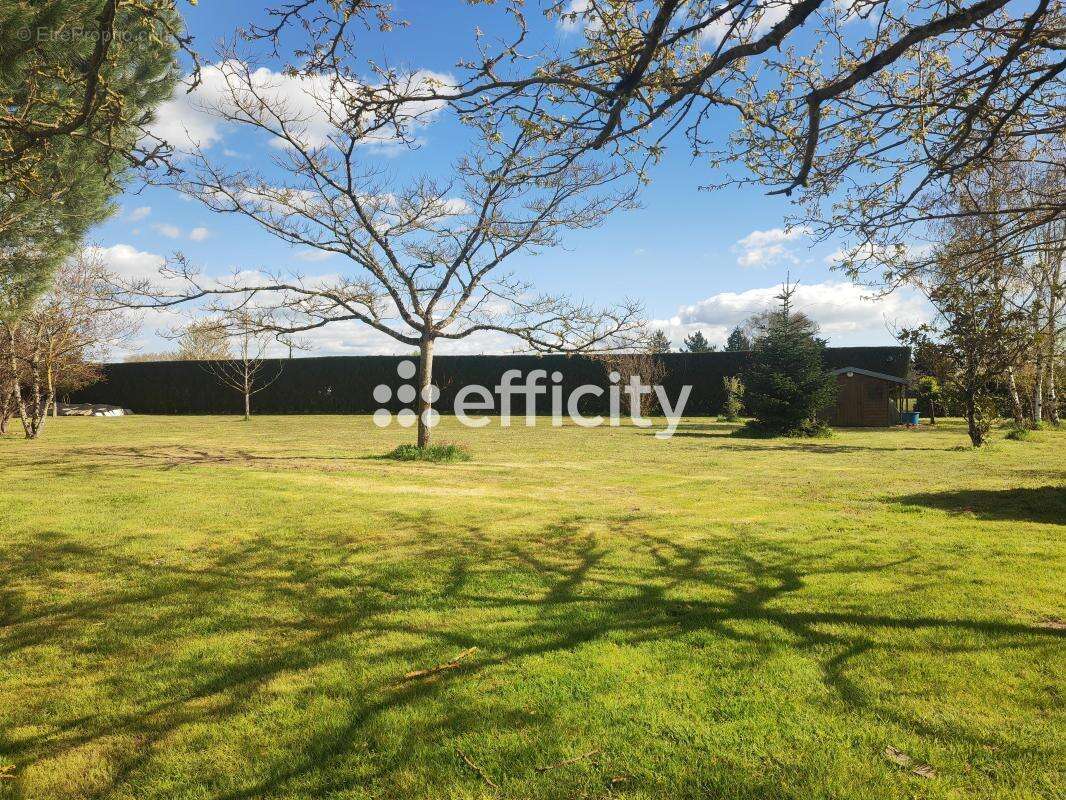 Maison à LA ROCHE-POSAY