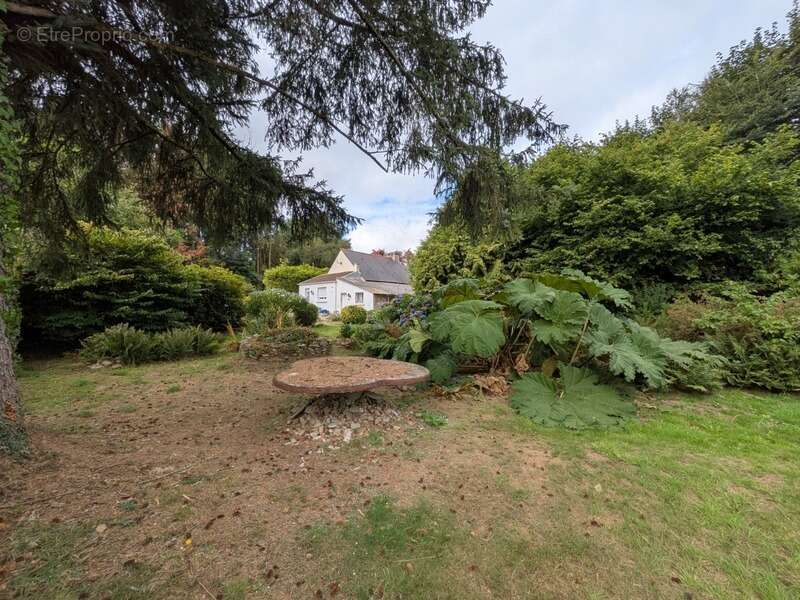 Ploerdut en campagne maison de 58 m2 3 pieces vie de plain pied parcelle de 877m² avec garage - photo 16
