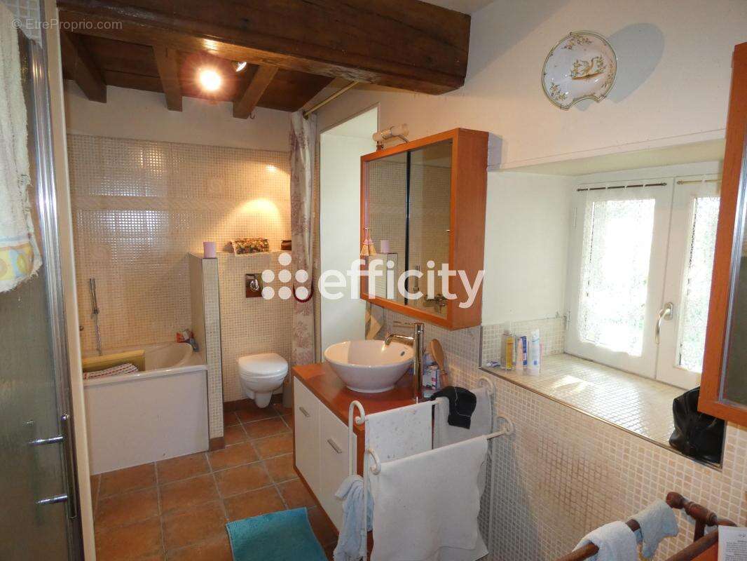 Maison 307 m² à Charroux  - photo 8