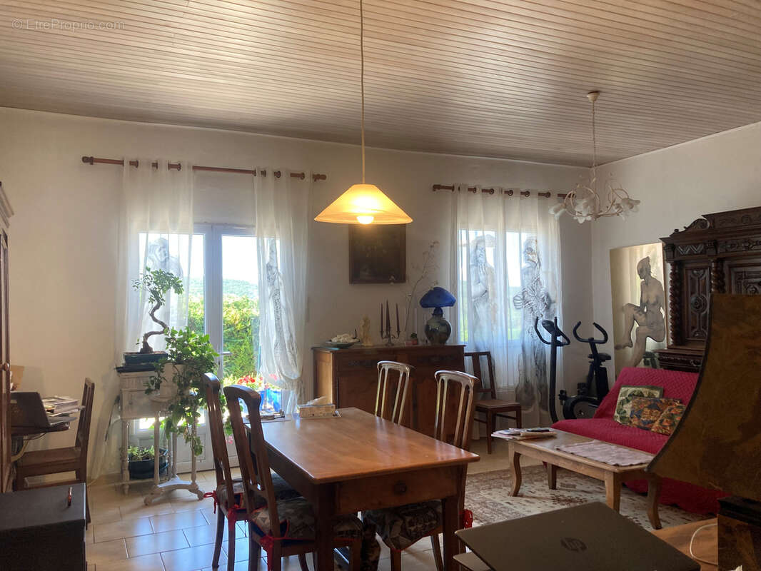 Entre Limoux et Carcassonne, 2 villas jumelées sur terrain avec piscine, double garage, terrasses, atelier. - photo 25
