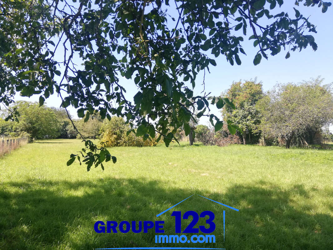 Terrain à AILLANT-SUR-THOLON