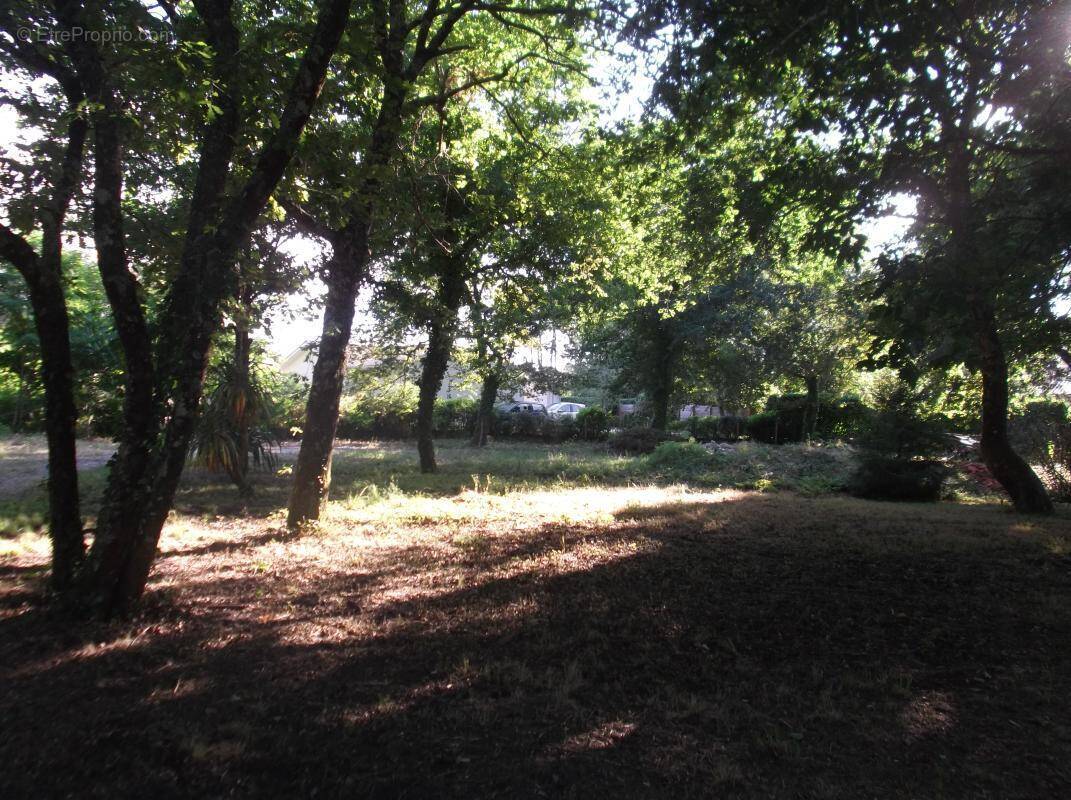 Terrain à CAMBLANES-ET-MEYNAC