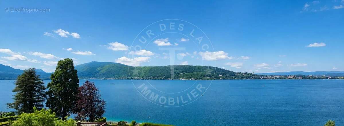 Propriété d'exception à vendre à Veyrier-du-Lac de 600m² - photo 4