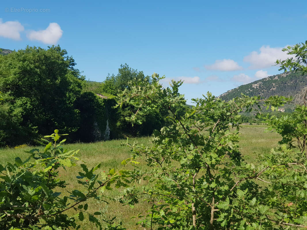 Terrain à LES PILLES