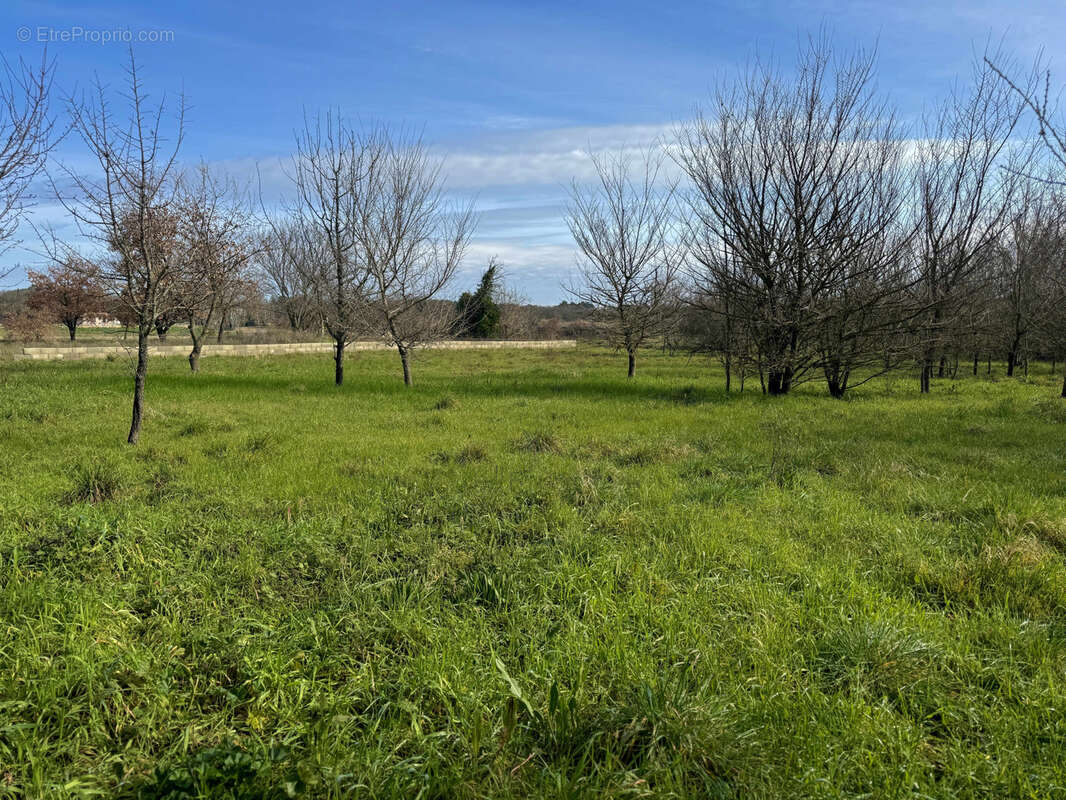 Terrain à LA BRUGUIERE