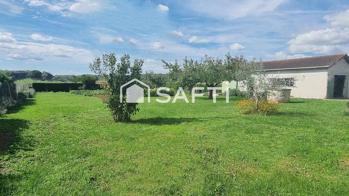 Photo 4 - Maison à MONTAYRAL